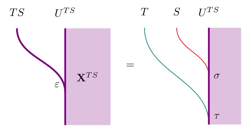 Actions of T, S and TS